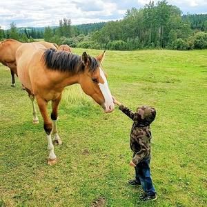 Meet your Posher, Kara